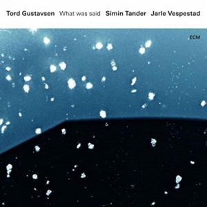 Tord Gustavsen What Was Said